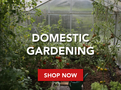 Domestic Gardening