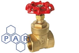 ½" bspt female brass gate valve